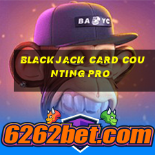 blackjack card counting pro