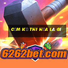 cầm kỳ thi họa là gì