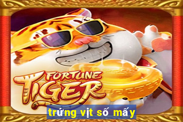 trứng vịt số mấy