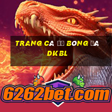 trang cá độ bóng đá dkbl