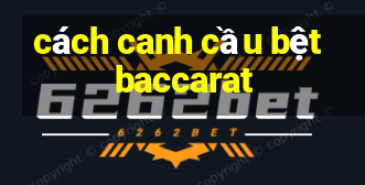 cách canh cầu bệt baccarat