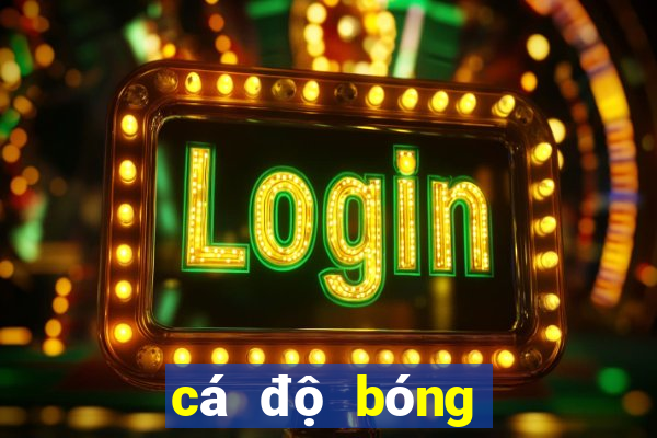 cá độ bóng đá fi881