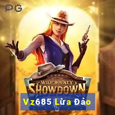 Vz685 Lừa Đảo