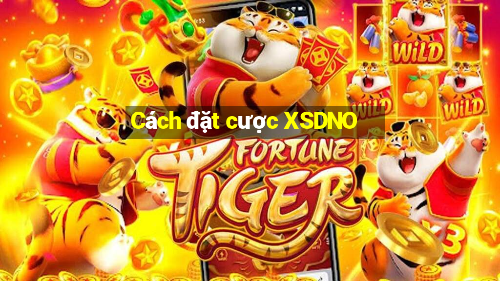 Cách đặt cược XSDNO