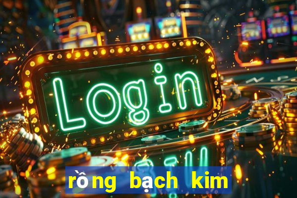 rồng bạch kim soi cầu miền bắc