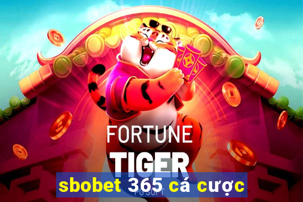 sbobet 365 cá cược