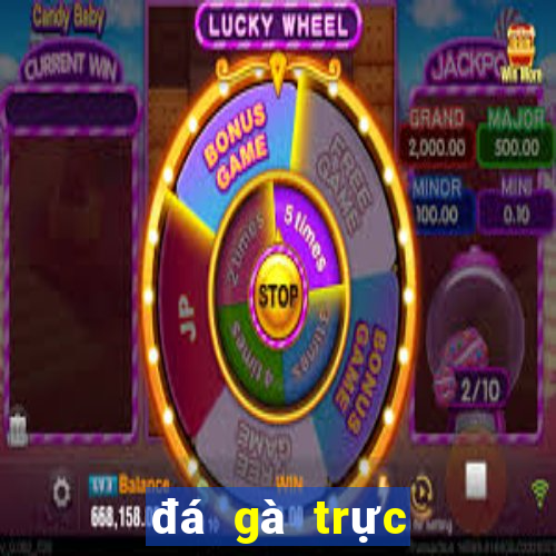 đá gà trực tiếp casino mộc bài