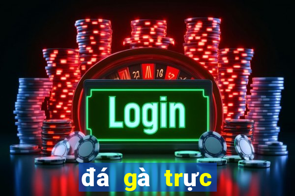 đá gà trực tiếp casino mộc bài