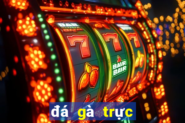 đá gà trực tiếp casino mộc bài