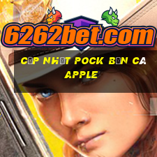 Cập nhật Pock Bắn cá Apple