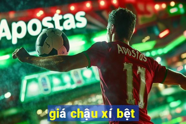 giá chậu xí bệt