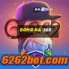 bong da 365