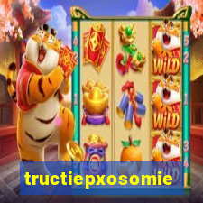 tructiepxosomiennam