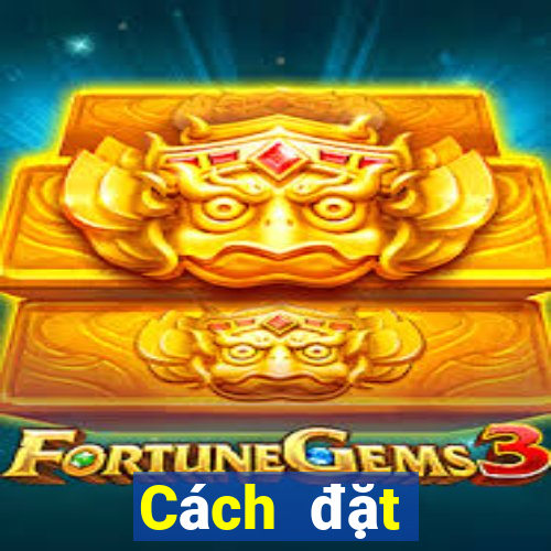 Cách đặt cược XSQT ngày 27