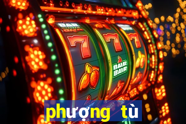 phượng tù hoàng tập 38