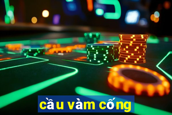 cầu vàm cống