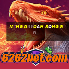 mạng dự đoán bóng rổ