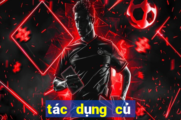 tác dụng củ gai tươi