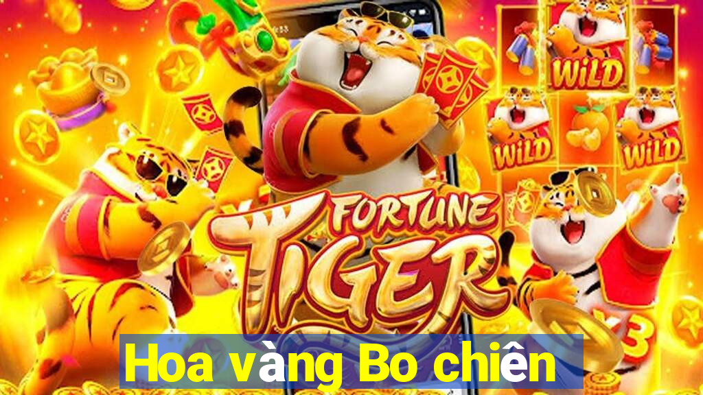 Hoa vàng Bo chiên