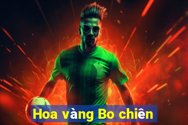 Hoa vàng Bo chiên