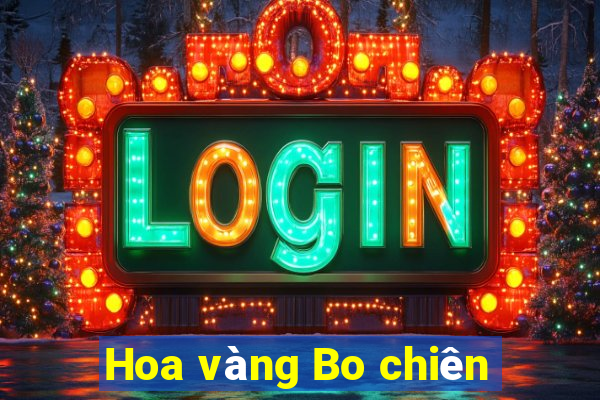 Hoa vàng Bo chiên