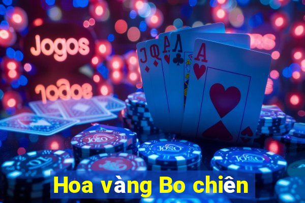 Hoa vàng Bo chiên