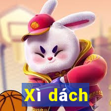 Xì dách