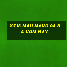 xem mau mang ga da hom nay