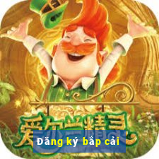 Đăng ký bắp cải