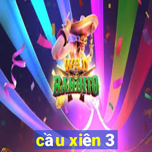 cầu xiên 3