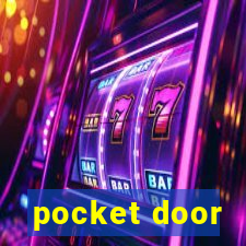 pocket door