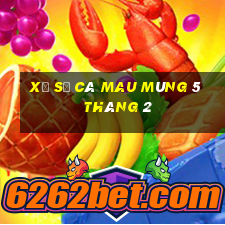 xổ số cà mau mùng 5 tháng 2