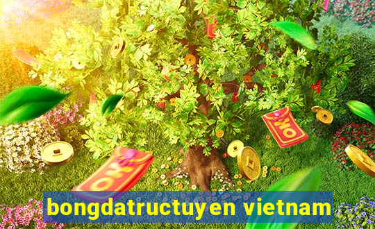 bongdatructuyen vietnam