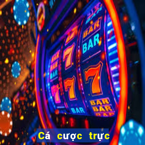 Cá cược trực tuyến betmaster