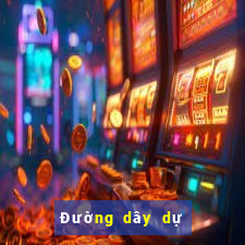 Đường dây dự phòng bet8