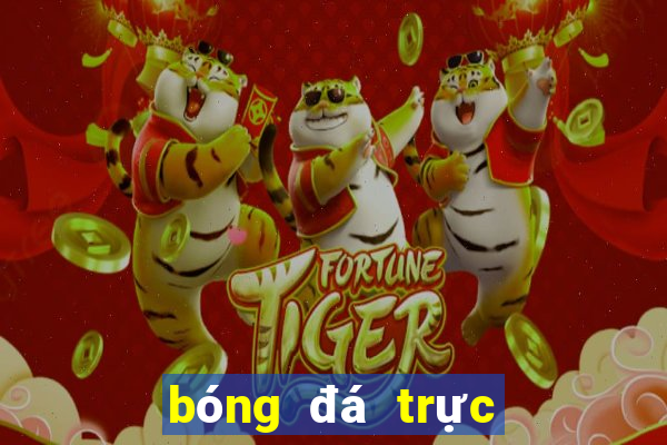 bóng đá trực tiếp hôm qua