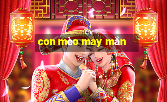 con mèo may mắn