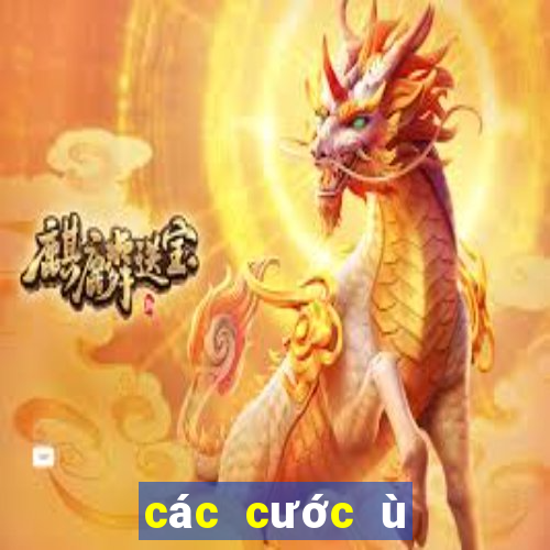 các cước ù trong chắn