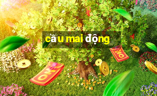 cầu mai động