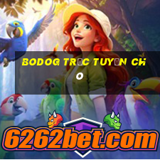 BodOG trực tuyến chó