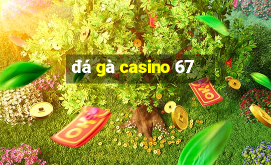 đá gà casino 67