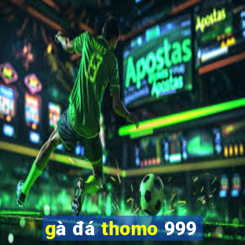 gà đá thomo 999