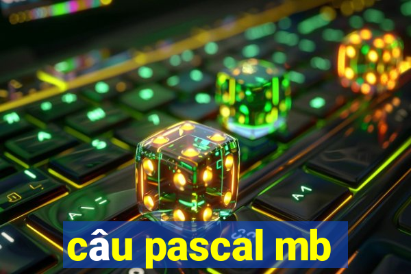 câu pascal mb