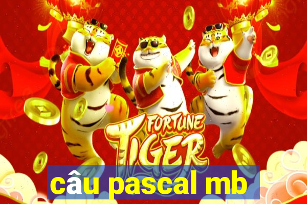 câu pascal mb