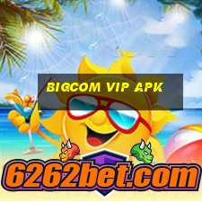 bigcom vip apk