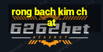 rong bach kim chat