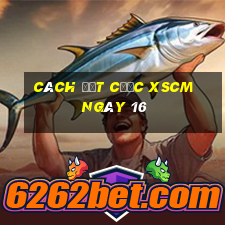 Cách đặt cược XSCM ngày 16