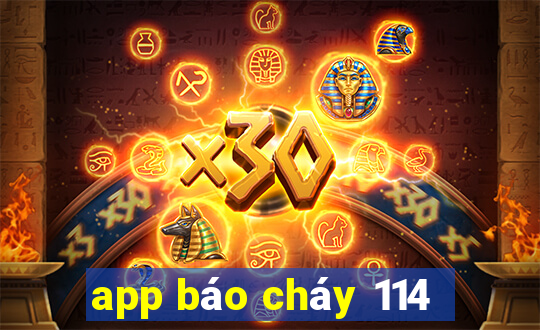 app báo cháy 114