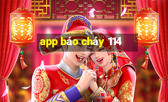 app báo cháy 114