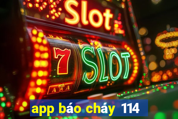 app báo cháy 114